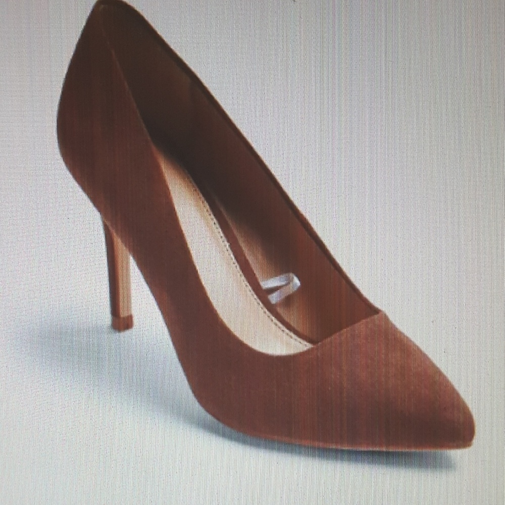 Women's Pointed Toe Pumps Very Chic!